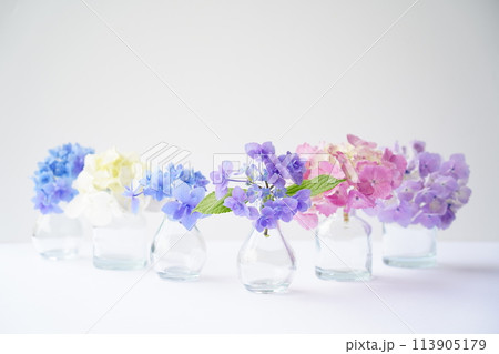 カラフル紫陽花アレンジ 113905179