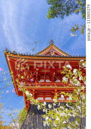 春の京都　仁和寺　春の花と鐘楼 113905274