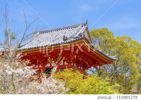 春の京都　仁和寺　桜と鐘楼 113905278