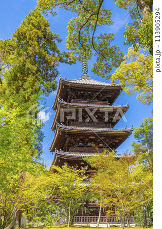 春の京都　仁和寺　新緑に包まれた五重塔 113905294