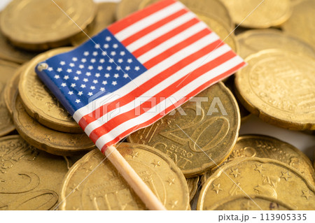 US flag on coins money, finance and accounting, banking concept. 113905335