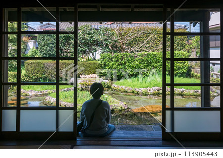 boy enjoy Spring garden Shimeis to see carp on pond, Shimabara 113905443