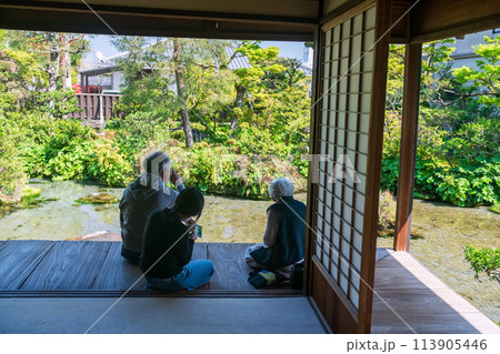 Japanese family at Spring garden Shimeis to see carp, Shimabara Japanese family at Spring garden Shimeis to see carp, Shimabara 113905446
