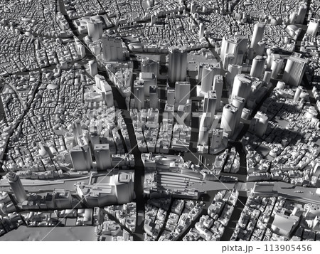 俯瞰で見る超高層ビル街新宿の3DCG 113905456