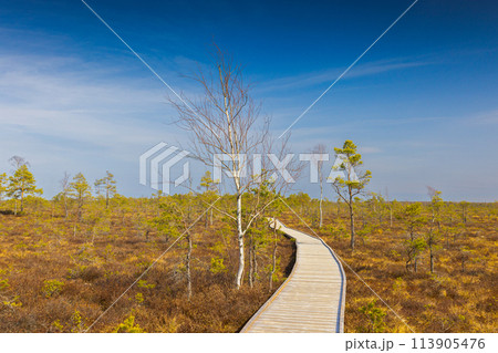 Viru Bog Viru Raba peat swamp, Estonia Viru Bog Viru Raba peat swamp, Estonia 113905476