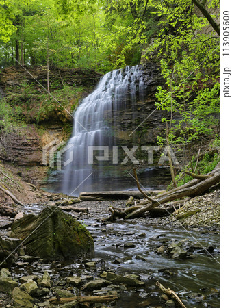 Tiffany Falls at Hamilton, Canada. Tiffany Falls at Hamilton, Canada. 113905600