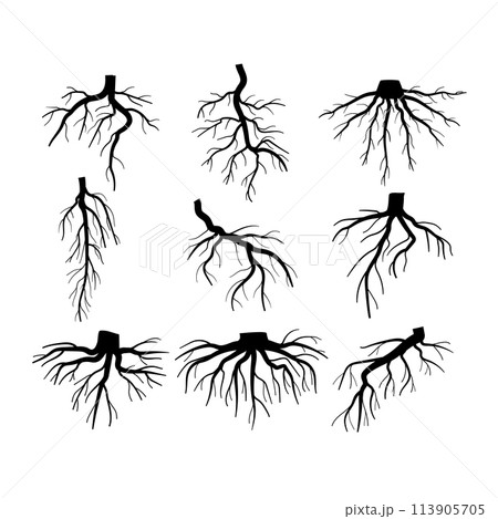 tree root set cartoon vector illustration tree root set cartoon vector illustration 113905705