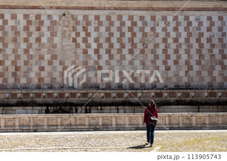 Famous mediaeval Fountain of 99 Spouts in ithe old town of L'Aquila, Italy 113905743