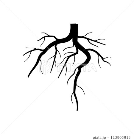 underground tree root cartoon vector illustration 113905913