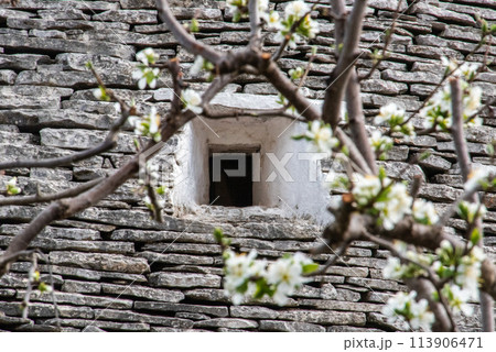 Iconic residential houses in historic Trulli district in Alberobello, Southern Italy 113906471