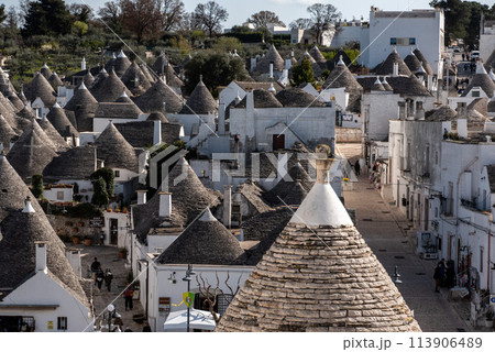 Scenic view over the historic Trulli district in Alberobello, Southern Italy 113906489