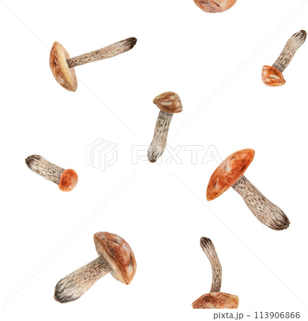 Wild forest mushrooms boletus watercolor seamless pattern. Hand drawn botanical realistic illustration. Botanical motif for printing on fabric, packing paper, wallpaper. Ornament for menu, invitations 113906866
