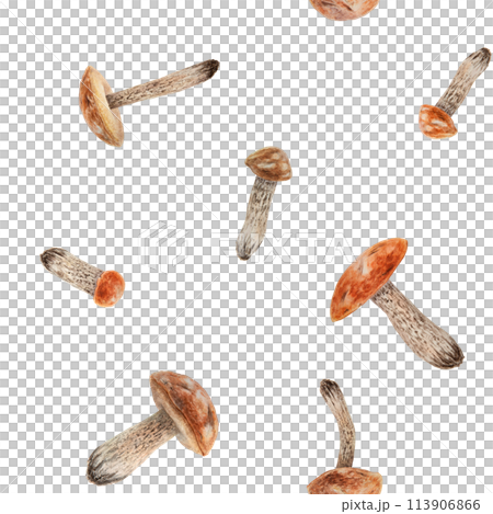 Wild forest mushrooms boletus watercolor seamless pattern. Hand drawn botanical realistic illustration. Botanical motif for printing on fabric, packing paper, wallpaper. Ornament for menu, invitations 113906866