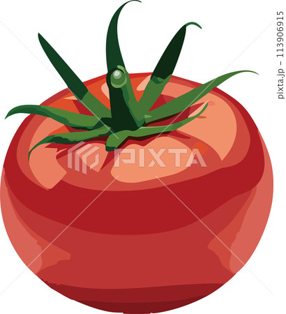 トマト 113906915