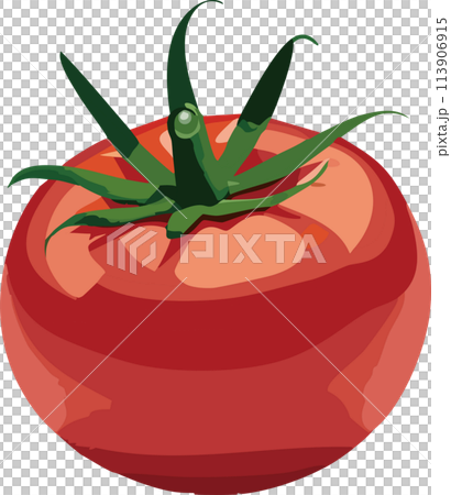 トマト 113906915