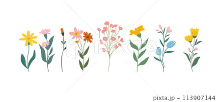 A collection of colorful spring flowers in soft colors, botanical species in flat design style, nature floral bloom decorative elements. Vector illustration 113907144