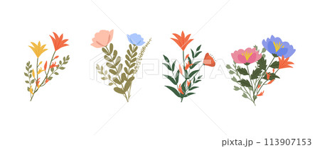 A collection of colorful spring flowers in soft colors, botanical species in flat design style, nature floral bloom decorative elements. Vector illustration 113907153