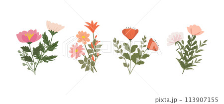 A collection of colorful spring flowers in soft colors, botanical species in flat design style, nature floral bloom decorative elements. Vector illustration 113907155