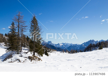 Dolomites landscape in Alleghe area, Italian alps Dolomites landscape in Alleghe area, Italian alps 113907486