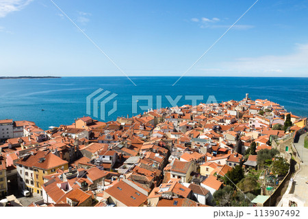 Piran medieval town aerial view, Slovenia 113907492