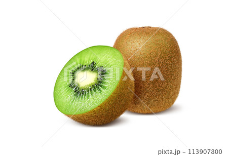 キウイ イラスト リアル 113907800