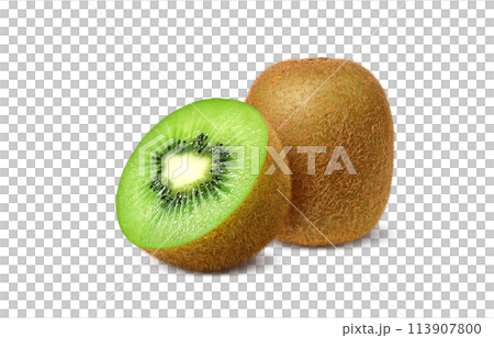キウイ イラスト リアル 113907800