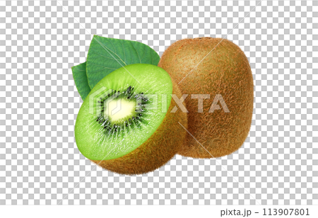 Kiwi illustration realistic 113907801