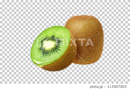Kiwi illustration realistic 113907803