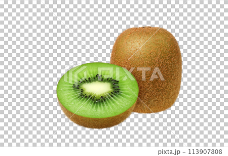 Kiwi illustration realistic 113907808