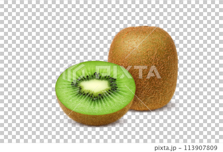獼猴桃插畫真實 113907809