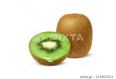キウイのイラスト リアル 113907813