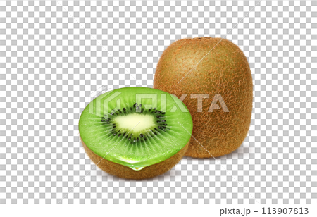 キウイのイラスト リアル 113907813