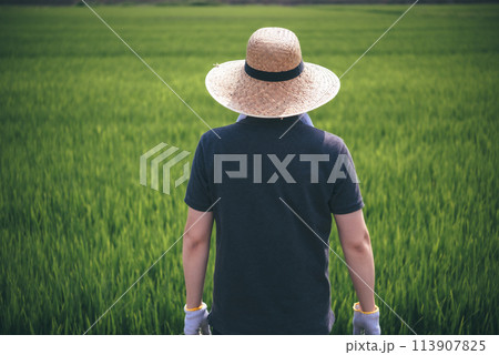 農家と田園の農業ポートレート 農家と田園の農業ポートレート 113907825