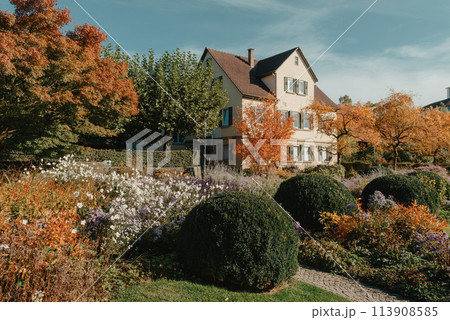 House with nice garden in fall. Flowers in the City Park of Bietigheim-Bissingen, Baden-Wuerttemberg, Germany, Europe. Autumn Park and house, nobody, bush and grenery 113908585