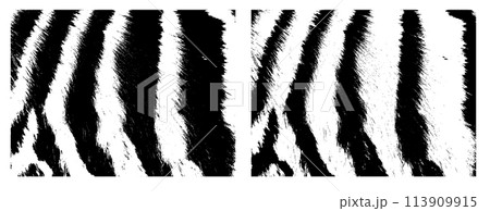 monochrome zebra or tiger fur background. Not AI, Vector illustration 113909915
