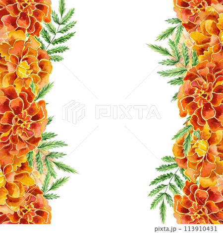 Marigolds vertical frame. Hand drawn watercolor illustration on white background. Birthday cards, Mexican Day of the Dead, invitations, labels, covers 113910431
