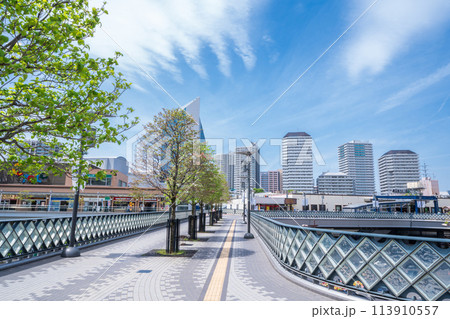 「埼玉県」川口駅東口前の風景 川口市 「埼玉県」川口駅東口前の風景 川口市 113910557