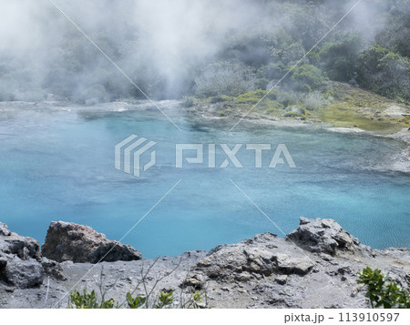 ニュージーランド・ロトルアの青い熱水池 / Blue Pool, Te Puia, Rotorua 113910597