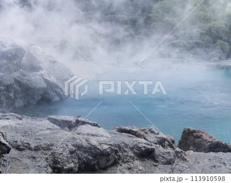 ニュージーランド・ロトルアの青い熱水池 / Blue Pool, Te Puia, Rotorua 113910598