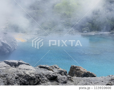 ニュージーランド・ロトルアの青い熱水池 / Blue Pool, Te Puia, Rotorua 113910600