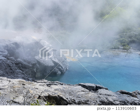 ニュージーランド・ロトルアの青い熱水池 / Blue Pool, Te Puia, Rotorua 113910603