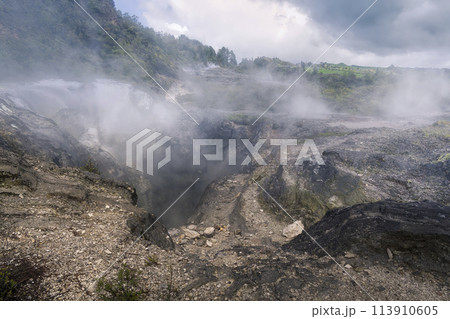 ニュージーランド・ロトルアの地熱地帯 / Te Puia, Rotorua 113910605