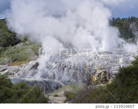ニュージーランド・ロトルアの地熱地帯 / Te Puia, Rotorua 113910607