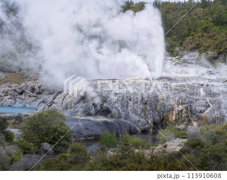 ニュージーランド・ロトルアの地熱地帯 / Te Puia, Rotorua ニュージーランド・ロトルアの地熱地帯 / Te Puia, Rotorua 113910608