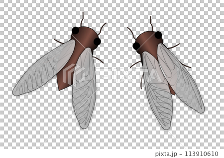 The cicadas are croaking 113910610