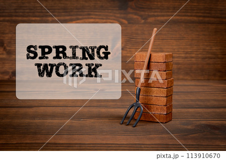 Spring Work Concept. Miniature gardening fork on wood texture background 113910670