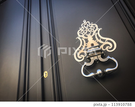 Door and knocker of a stylish French mansion 113910788