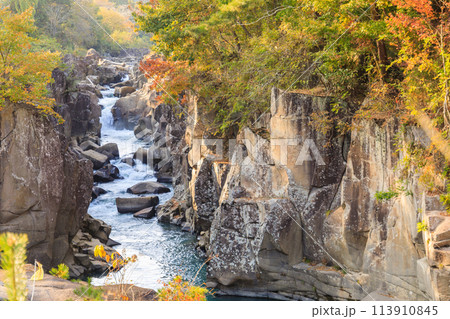 「岩手県」秋色に染まった厳美渓・一関市 「岩手県」秋色に染まった厳美渓・一関市 113910845