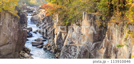 「岩手県」秋色に染まった厳美渓・一関市 113910846