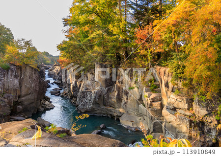 「岩手県」秋色に染まった厳美渓・一関市 113910849